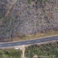 perhutani-jangan-lebih-kolonial-dari-kolonial