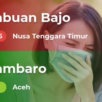 cek-kualitas-udara-di-kotamu-kamis-10-10-2019