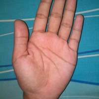 share-tentang-pengetahuan-keilmuan-garis-tangan---palmistry
