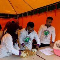 pemprov-dki-tanam-cip-di-hewan-peliharaan-pemilik-senang