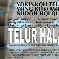 mulai-hari-ini-semua-produk-wajib-bersertifikat-halal-dan-wewenang-mui-dicabut