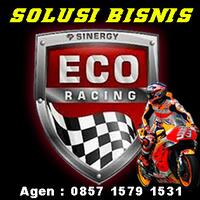 sinergy-eco-racing