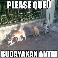 foto-penampakan-saat--banjir--di-jepang-ini-menarik-perhatian-netizen