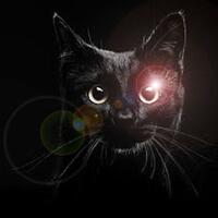 mitos-binatang-bereaksi-bila-melihat-jin-gansist-percaya