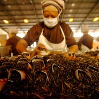 ump-2020-naik-851-persen