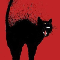 kucing-hitam-lambang-mistis-simak-faktanya-di-sini