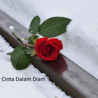 cinta-dalam-diam