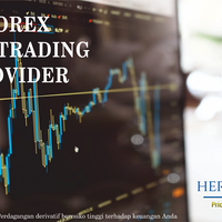 herotrade-copytrading-provider---professional-trader