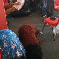 post-image