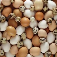 telur-termahal-didunia-dibanderol-hingga-500jt-rupiah