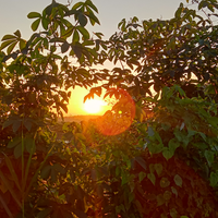 foto-keren-modal-hp-emang-bisa