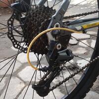 polygon-monarch-rider