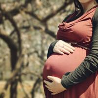 mengenal-toksoplasma-pada-ibu-hamil-dan-cara-mencegahnya