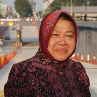 kronologis-tri-rismaharini-ogah-jadi-menteri-di-kabinet-jokowi