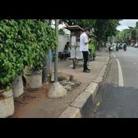 anies-baswedan-kemang-dan-pohon-aneh