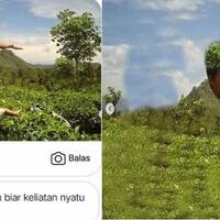 minta-foto-diedit-menyatu-dengan-alam-malah-jadi-absurd-gak-jelas-boleh-ngakak