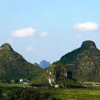 6-tanaman-gunung-yang-bisa-bikin-jatuh-hati