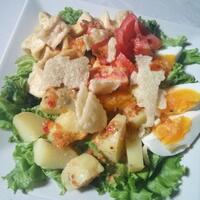 fresh-chapter-of-dear-diary