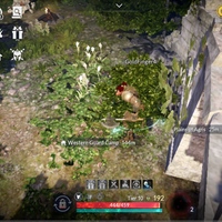 android-ios-black-desert-online-mobile-global