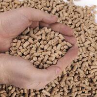 bos-isis-al-baghdadi-dikubur-di-laut-seperti-osama-bin-laden