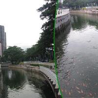 sungai-jernih-di-jakarta-mana-ada-sih