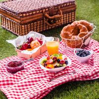 berencana-piknik-lakukan-ini-biar-makanan-aman-dari-bakteri