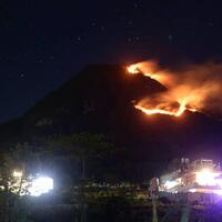 misteri-dibalik-keindahan-bunga-edelweis-di-gunung-panderman
