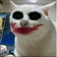 tingkah-tingkah-kucing-yang-menandakan-dia-nggak-suka-sama-agan