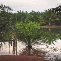 alun-alun-nikonian---part-14