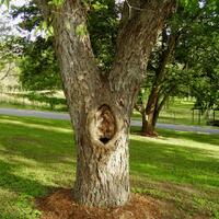 pa-212-jangan-cemaskan-reuni-rumput-saja-kita-jaga-apalagi-persatuan