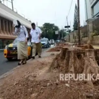 setelah-di-cikini-pohon-di-jalan-kramat-raya-akan-ditebangi