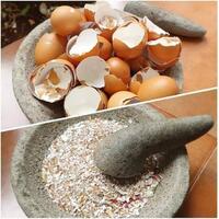 gokil-abis-ternyata-kulit-telur-bisa-dimasak