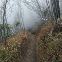 ketakutan-melandaku-ketika-solo-hiking-lawu-via-cetho