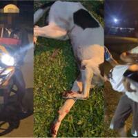 sadis-anak-anjing-ini-diseret-pakai-motor-kaki-berdarah-dan-tubuhnya-memar