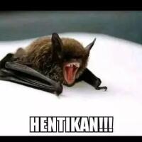 jokowi-buka-suara-soal-ahok-jadi-bos-bumn