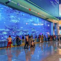 ketika-salju-ombak-dinosaurus-sampai-terasi-diangkut-ke-mall