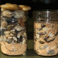 lawan-hoax-dan-pembodohan-part--2--penggunaan-analogi-yang-salah