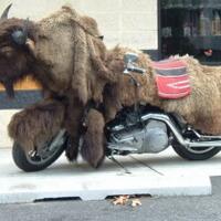 10-modifikasi-sepeda-motor-karya-orang-terlalu-kreatif-ini-nyeleneh-banget