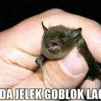 derita-korban-penggusuran-sunter-merasa-diperlakukan-seperti-hewan