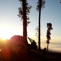 petala-di-pagi-hari