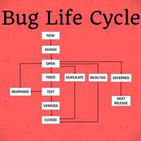 apa-yang-dimaksud-defect---bug-life-cycle-di-software-testing