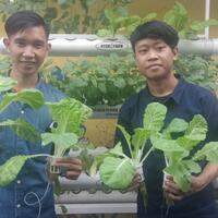 coc-gl-yuk-menanam-tanaman-hidroponik-di-sekitar-rumah