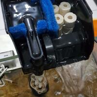 aquascape-for-everyone-learning-and-sharing---part-3