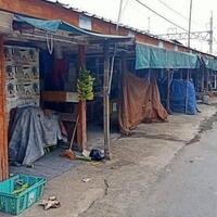 bakal-direlokasi-pedagang-pisang-pinggir-rel-pisangan-akan-ngadu-ke-anies