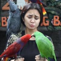 nggak-cuma-pantai-5-kebun-binatang-di-bali-ini-juga-layak-dikunjungi