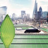 biosolar-leaves-pembersih-udara-yang-100x-lebih-bersih-dari-pohon-jakarta-harus-ada