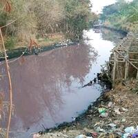 air-sungai-di-cirebon-ini-berubah-warna-menjadi-pink-apa-penyebabnya-ya