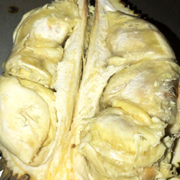 fresh-chapter-of-dear-diary