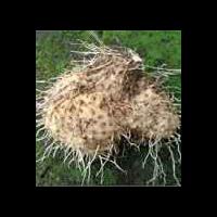 diskusi-seputar-intelijen---part-1