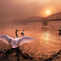 cekidot-gansis-foto-menakjubkan-para-pemenang-nature-photographer-of-the-year-20019